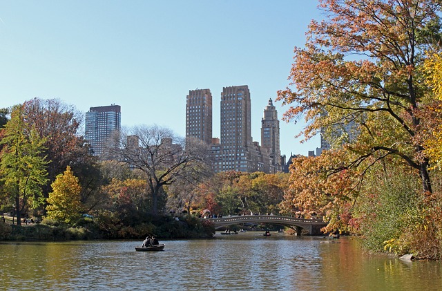 que ver en Nueva York Central Park