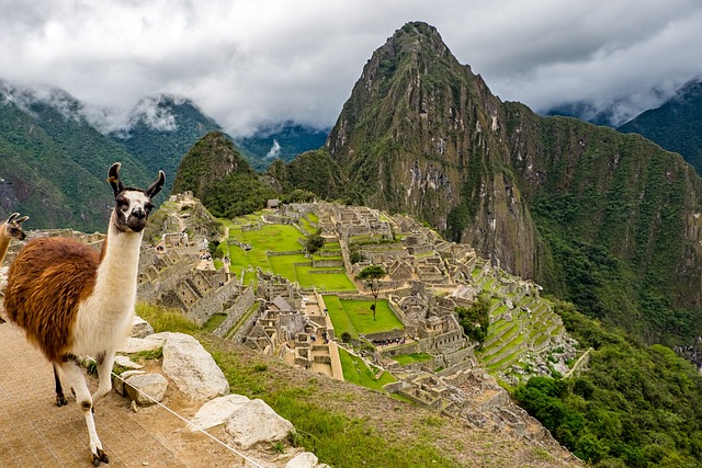 Cómo visitar Machu Picchu: Guía completa para planificar tu visita
