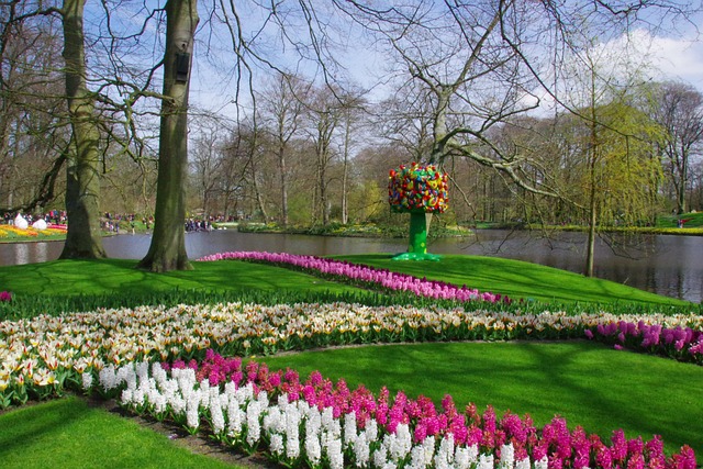 Campos de Tulipanes de Keukenhof