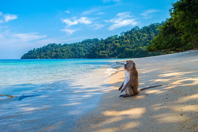 Playas de Tailandia