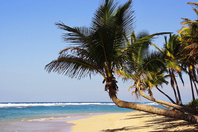 Playas en Punta Cana